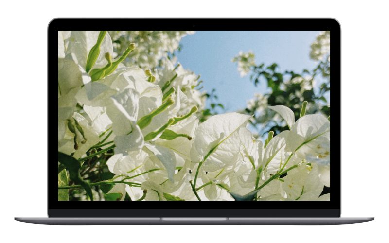 tech backgrounds pisces