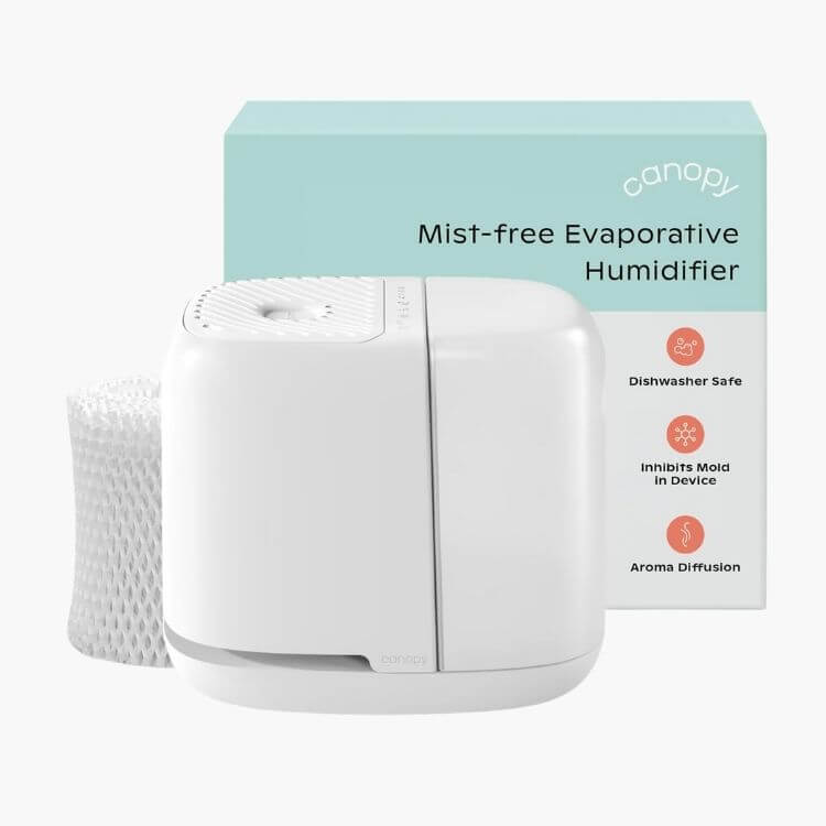 Bedside Humidifier