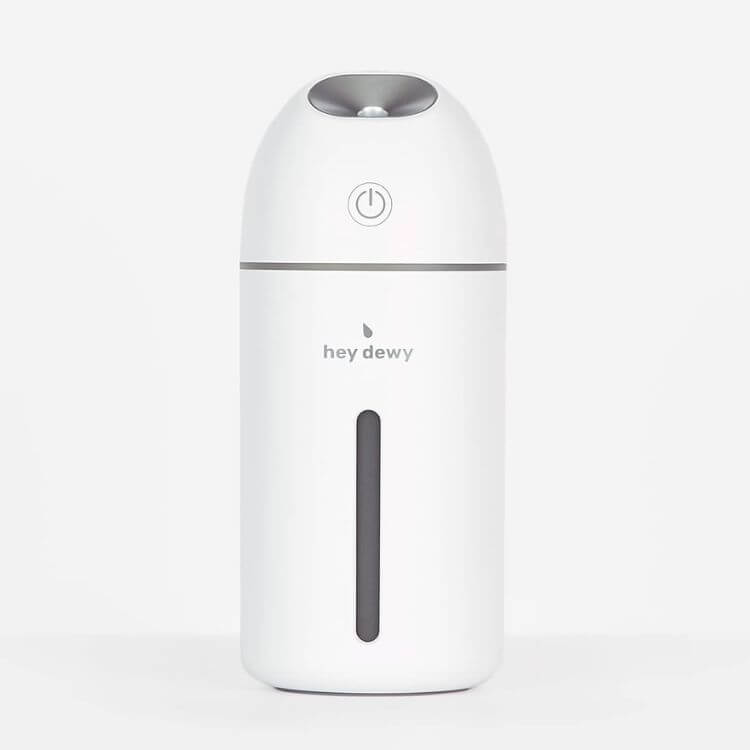 Portable Humidifier