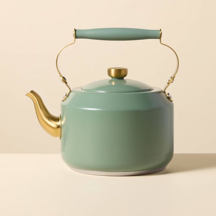 2-Quart Coated Tea Kettle