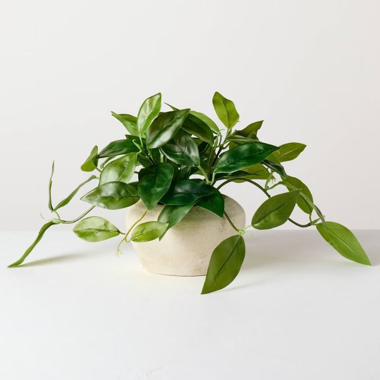Small Trailing Hoya Leaf Artificial Plant