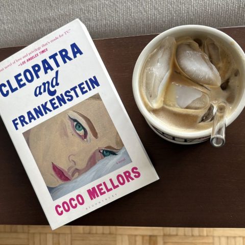 literary fiction