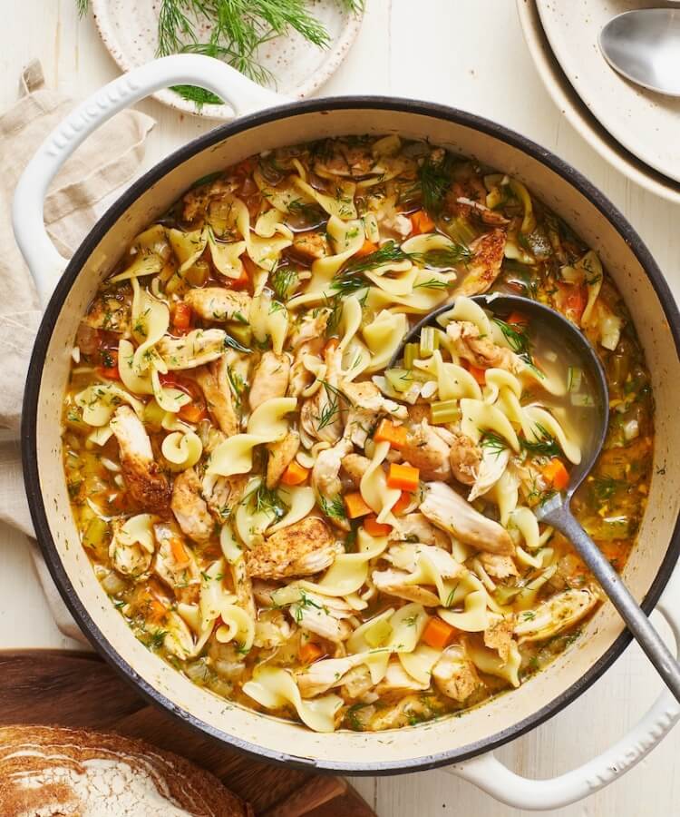 chicken noodle soup