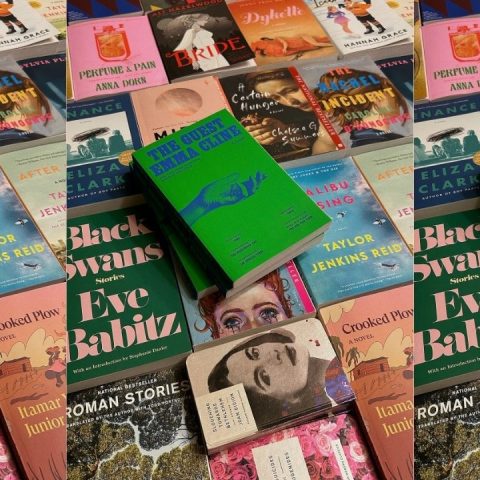 book subgenres