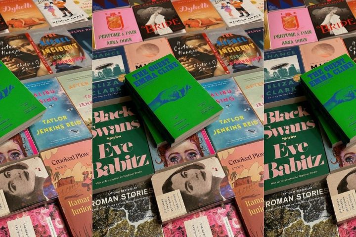 book subgenres