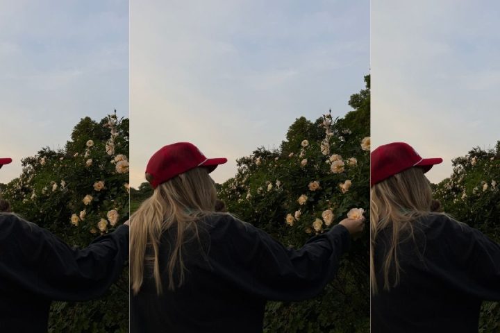flower moon