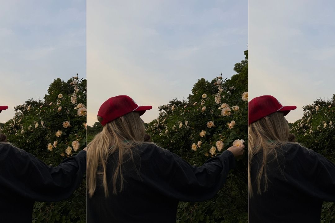 How The Flower Moon will Affect Your Zodiac Sign