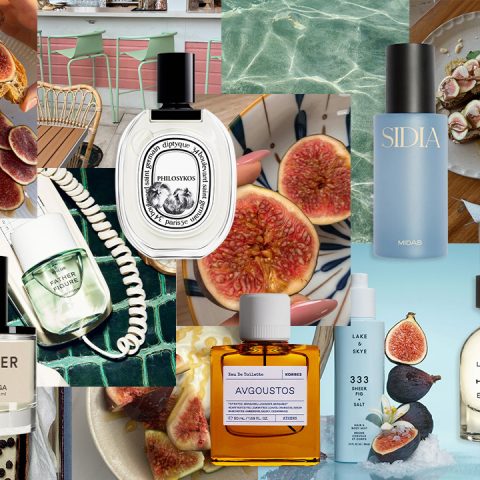 fig fragrances