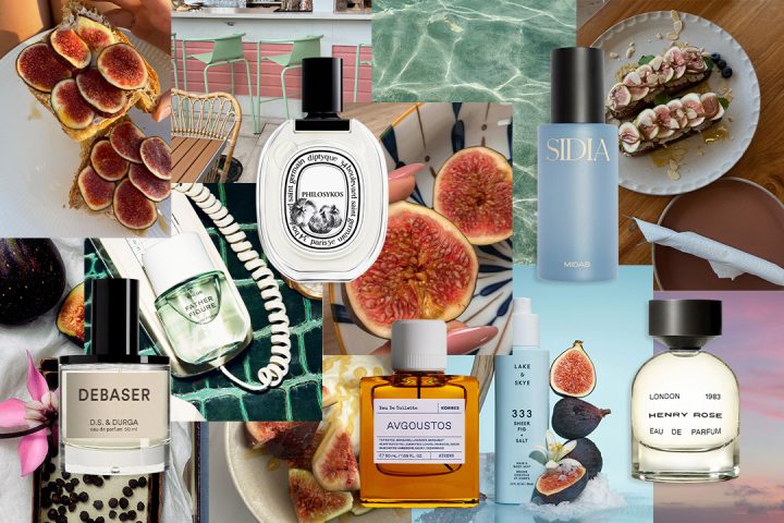 fig fragrances