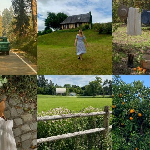 english wellness hacks
