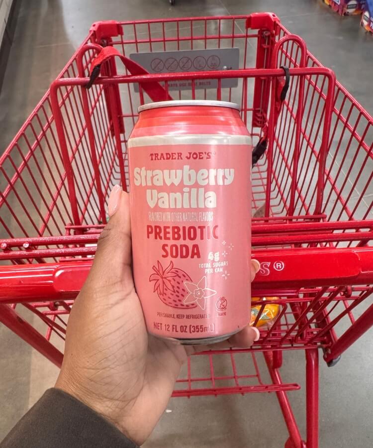 trader joes road trip snacks