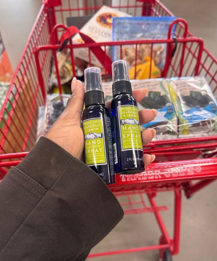 trader joes road trip snacks