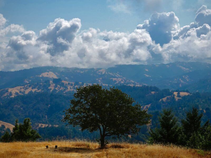 sonoma county, california