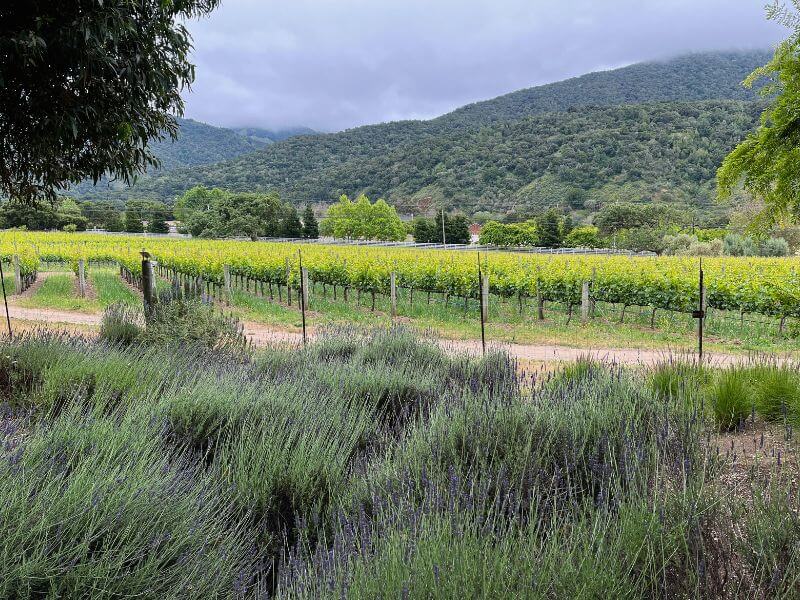 carmel valley, california