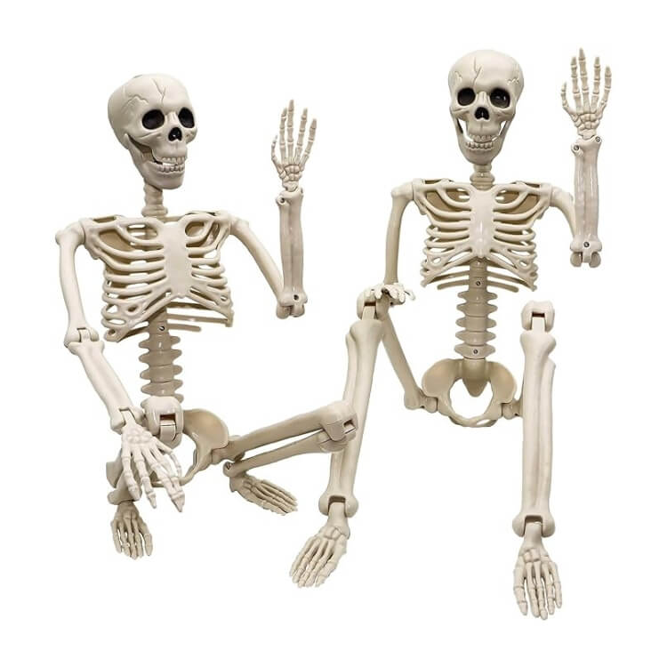 Halloween Skeletons