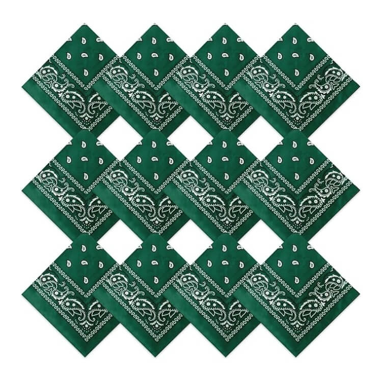 Paisley Bandanas