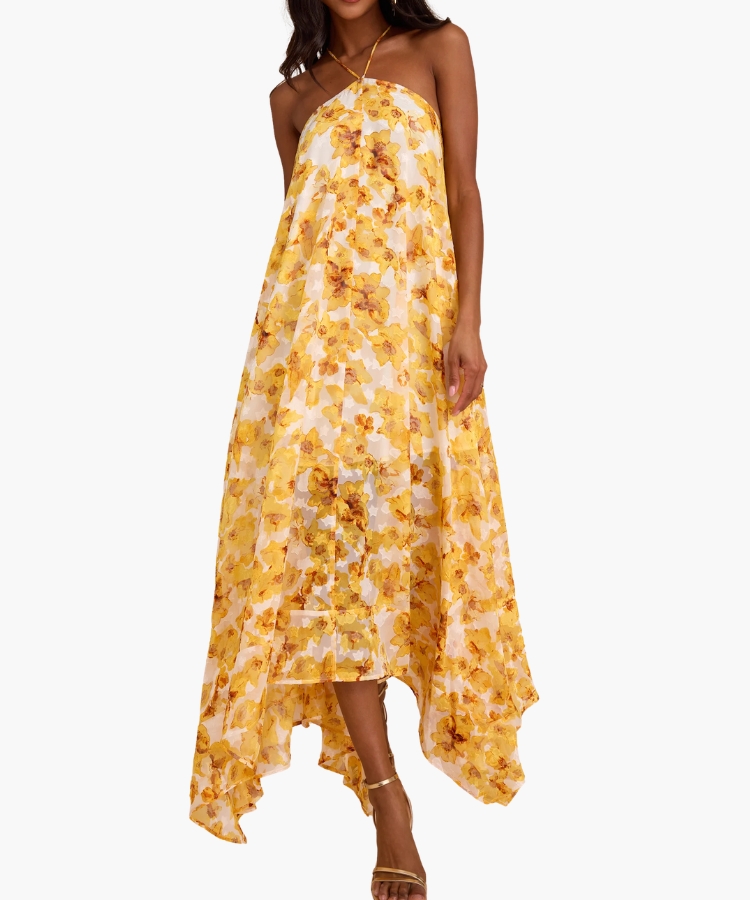 Dezzi Maxi Dress