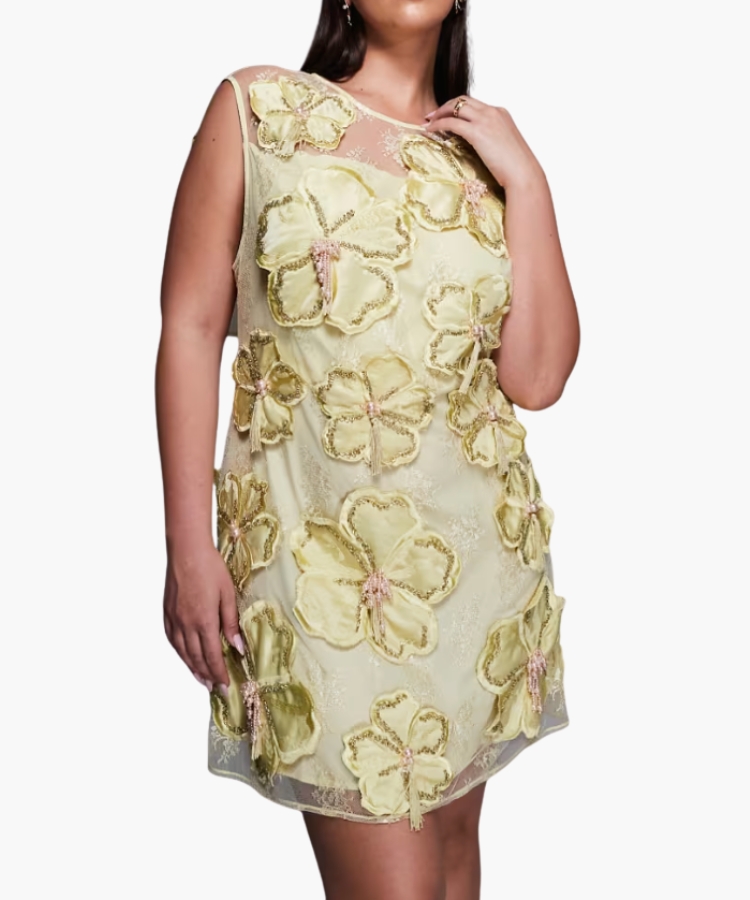 Curve Embellised 3D Floral Lace Dress