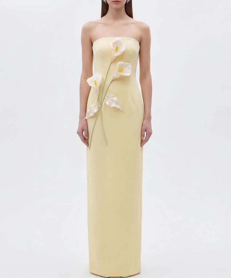 Floral Appliqué Strapless Dress