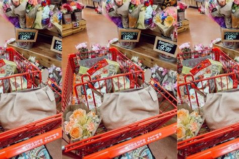 trader joe's frozen meals