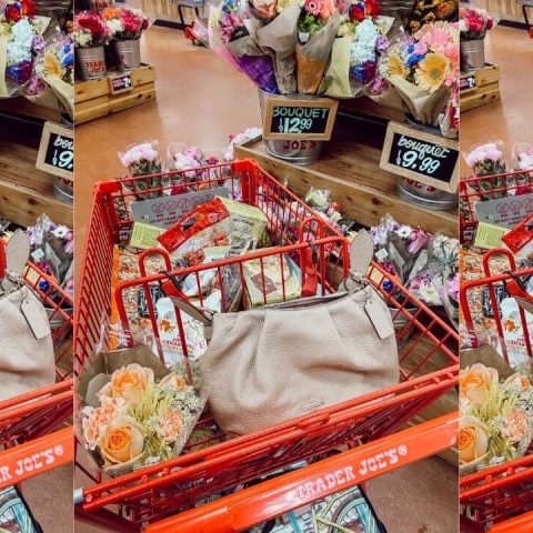 trader joe's frozen meals