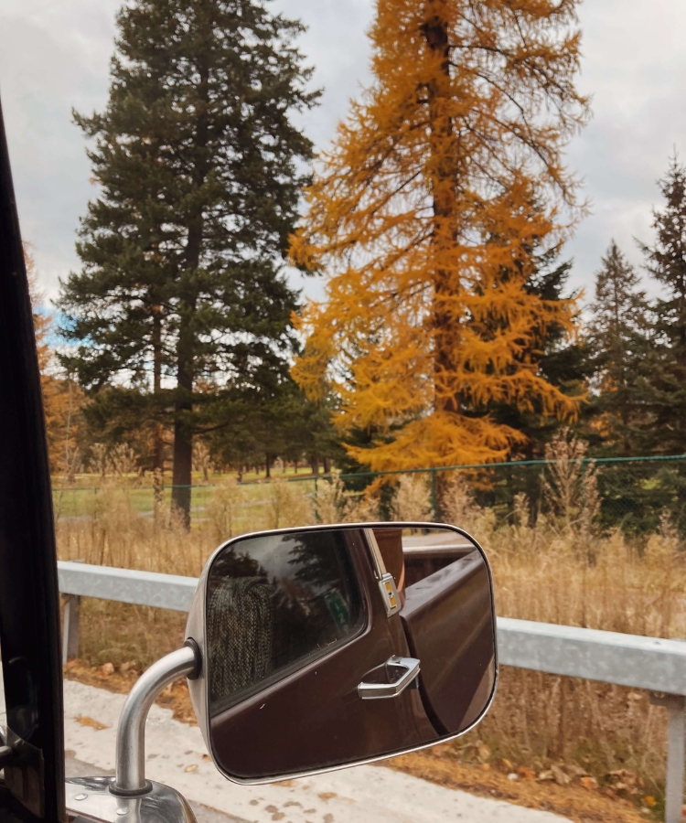 fall activities leaf peeping
