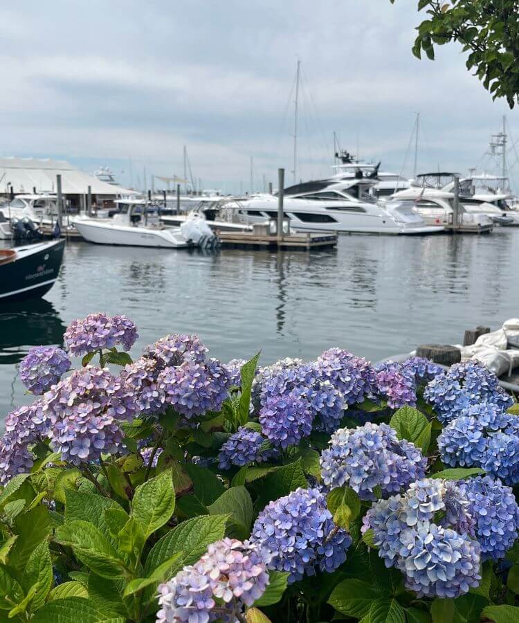 bowen's wharf, newport, rhode island