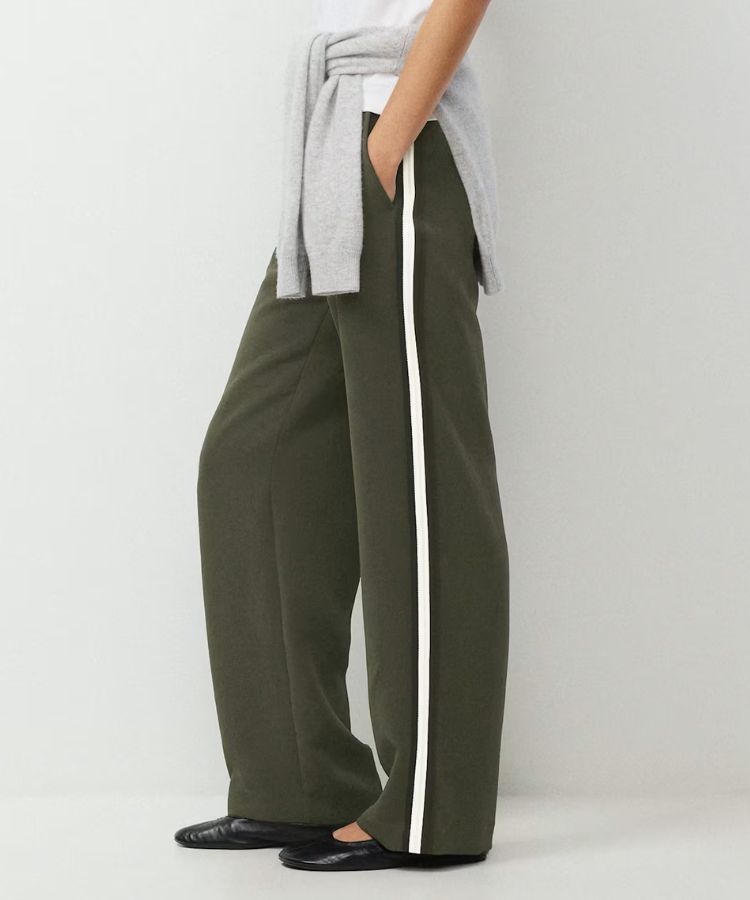 Thesis Pant