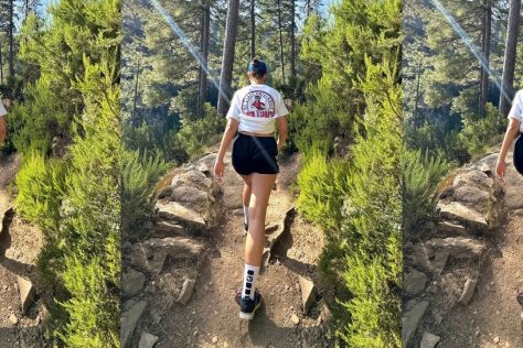 lymphatic walking