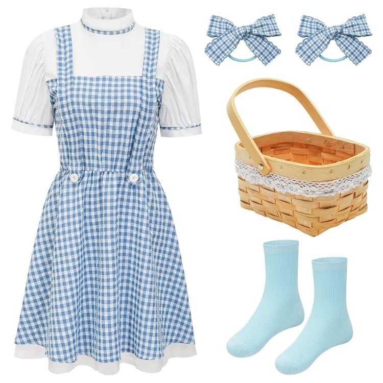 Dorothy Costume