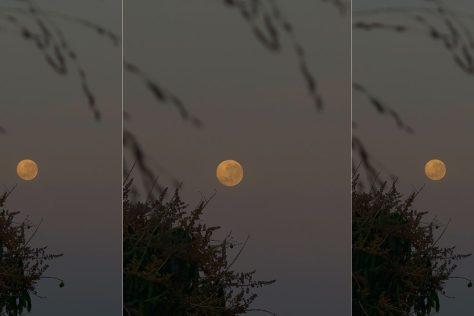 hunter's moon