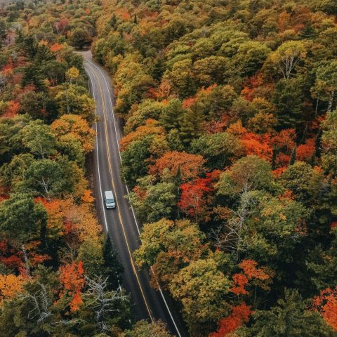 fall road trip ideas travel destinations