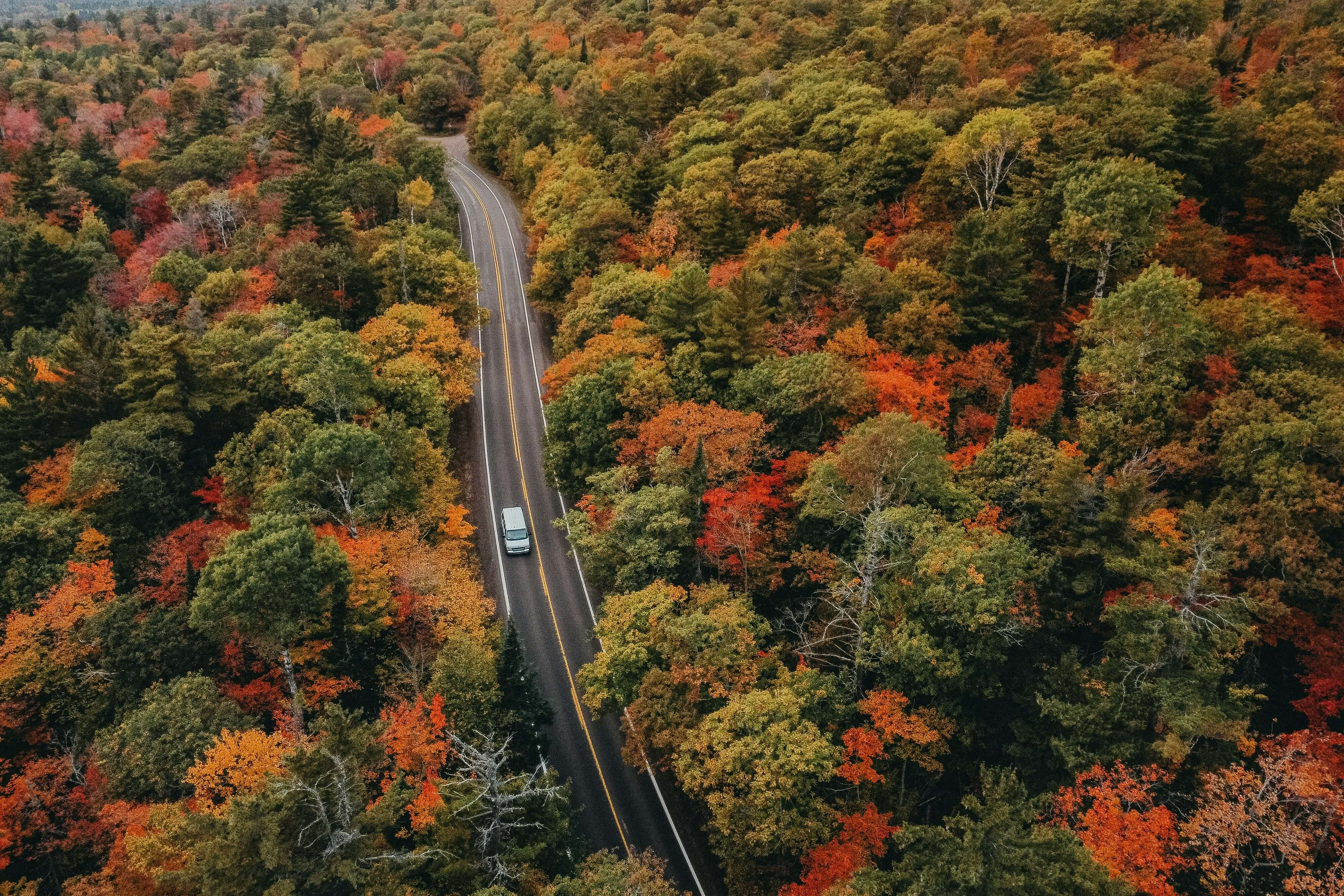 10 Road Trip Ideas for Seeing Peak Fall Colors