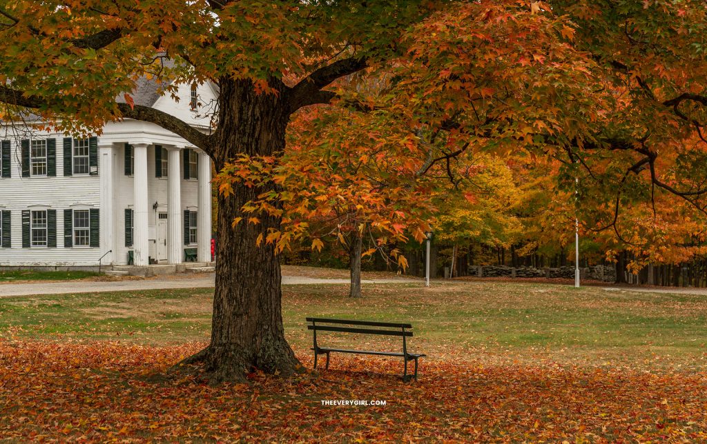 tech backgrounds fall