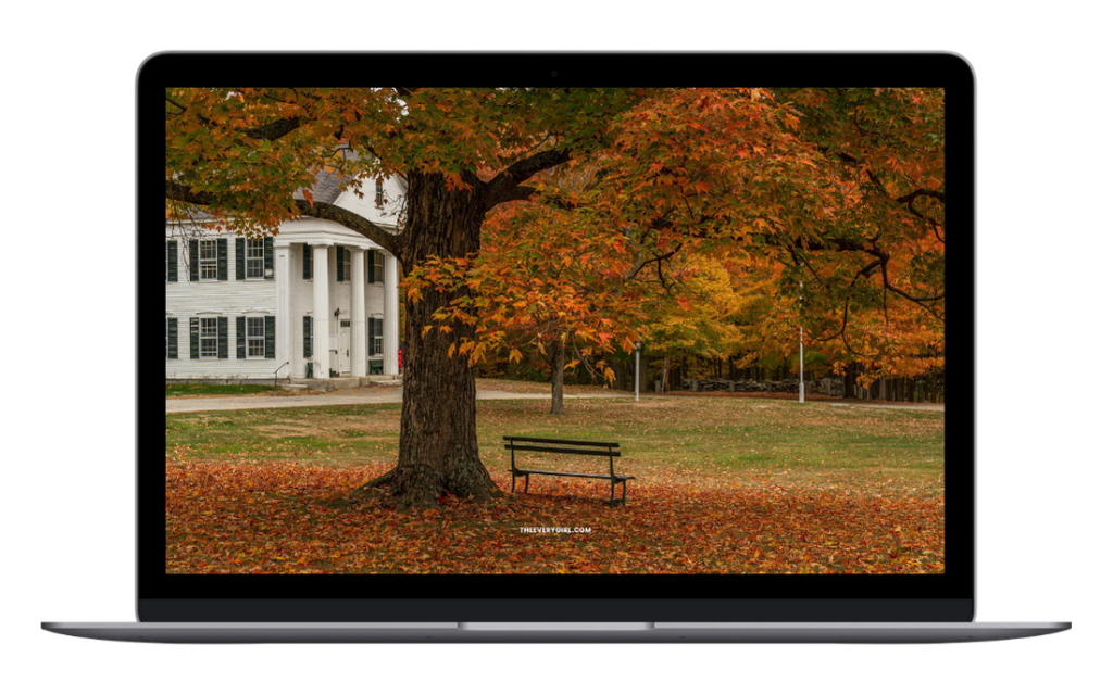 tech backgrounds fall