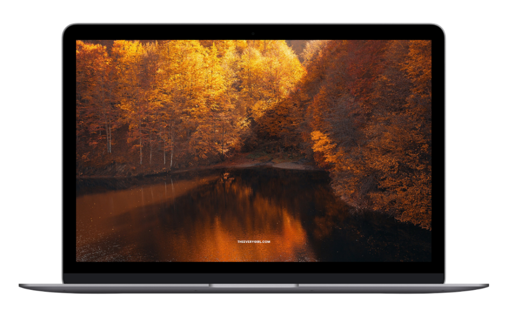 tech backgrounds fall