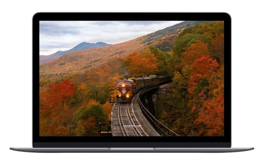 tech backgrounds fall