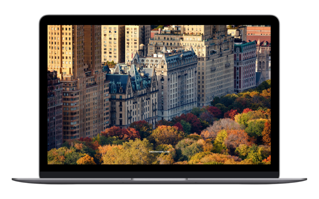 tech backgrounds fall