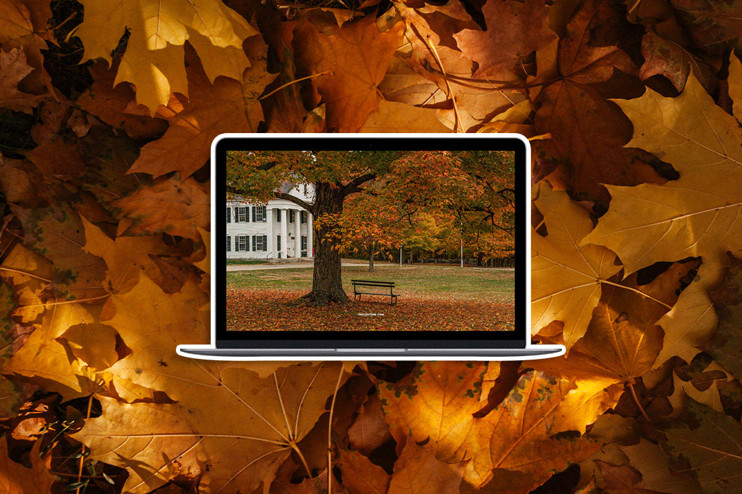 fall aesthetic tech backgrounds