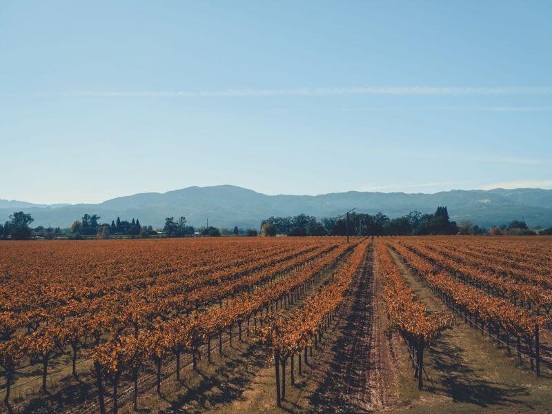 fall road trip ideas travel destinations